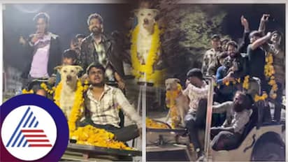 ತೆರೆದ ಜೀಪಿನಲ್ಲಿ ನಾಯಿ ಹುಟ್ಟುಹಬ್ಬ ಆಚರಣೆ; ಈ ನಾಯಿಗೆ ದೊಡ್ಡ ಅಭಿಮಾನಿ ಬಳಗವೇ ಇದೆಯಂತೆ!
