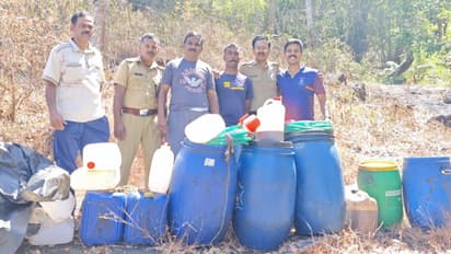 ഉള്ക്കാട്ടിൽ പാറക്കെട്ടുകള്ക്കിടയിൽ പഴവർഗങ്ങളും തെങ്ങിൻ പൂങ്കുലകളും കരിമ്പും; കണ്ടെടുത്തത് 600 ലിറ്റർ വാഷ്