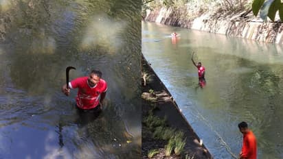 കേടായ പന്നിയിറച്ചി, പായ തുറന്നപ്പോൾ മൃതദേഹം; സാമുവല് കൊലക്കേസിലെ വാക്കത്തി കിട്ടിയത് കനാലില് നിന്ന്