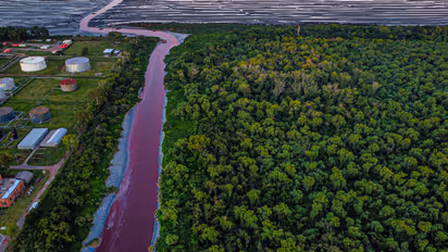 ചോരച്ചുവപ്പ് നിറമായി നദി, വെള്ളത്തിന് പകരം രക്തമൊഴുകും പോലെ, പ്രദേശമാകെ ദുർഗന്ധവും; ഭീതിയിൽ സമീപവാസികൾ