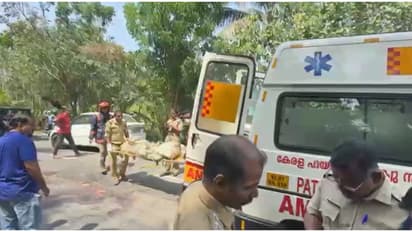 കൊച്ചിയിൽ ബൈക്ക് ടോറസിൽ ഇടിച്ച് അപകടം; വീട്ടമ്മയ്ക്ക് ദാരുണാന്ത്യം, ഭർത്താവിന് പരിക്ക്