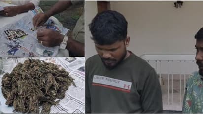 രഹസ്യ വിവരത്തെ തുടർന്ന് പരിശോധന; ആസാമിൽ നിന്നെത്തിച്ച അതിമാരകമായ മയക്കുമരുന്നും കഞ്ചാവുമായി 2 പേർ പിടിയിൽ