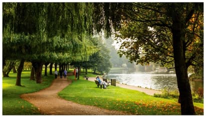 പൂന്തോട്ടങ്ങളില്‍ ചിതാഭസ്മം വിതറി യുകെ സ്വദേശികൾ; ദയവായി ചെയ്യരുതെന്ന് പൂന്തോട്ടം പരിപാലകർ