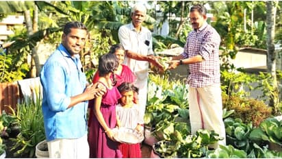 പുരപ്പുറം പച്ചക്കറിത്തോട്ടമാക്കി വീട്ടമ്മ; ശീതകാല കൃഷിയിൽ നൂറുമേനി വിളവ്