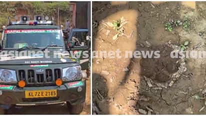 വയനാട് തലപ്പുഴയിൽ ജനവാസ മേഖലയിൽ കടുവ? രണ്ട് കുട്ടികളെയും കടുവയെയും കണ്ടതായി സ്ഥിരീകരണം