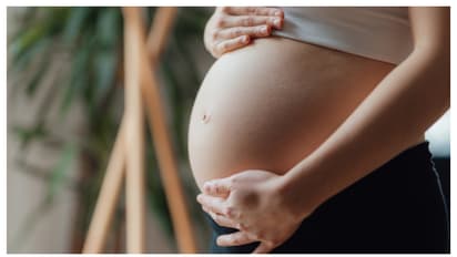 Pregnancy tips: ప్రెగ్నెన్సీ టైంలో భార్యాభర్తలు గొడవపడితే ఏమవుతుందో తెలుసా? 