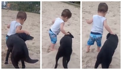 ആദ്യ ചുവടില് കാലുറയ്ക്കാതെ കുഞ്ഞ്, താങ്ങായി വളര്ത്തുനായ; ഇതാണ് യഥാര്ത്ഥ സൌഹൃദമെന്ന് സോഷ്യൽ മീഡിയ