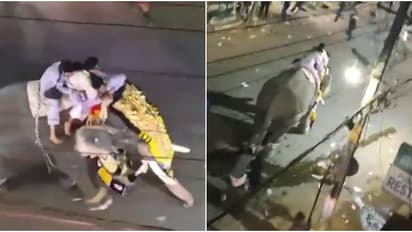 പട്ടാമ്പി നേർച്ചക്കിടെ ആന വിരണ്ടോടി; തിക്കിലും തിരക്കിലും നിരവധി പേർ വീണു, ഗേറ്റ് എടുത്തു ചാടിയയാൾക്ക് പരിക്ക്