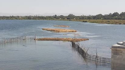 ಇಂದಿನಿಂದ ಟಿ. ನರಸೀಪುರದಲ್ಲಿ ದಕ್ಷಿಣ ಭಾರತದ ಏಕೈಕ ಕುಂಭಮೇಳ