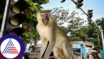 ಮಂಗನಾಟಕ್ಕೆ ಶ್ರೀಲಂಕಾ ಸುಸ್ತು: ಅಂದು ಲಂಕಾ ದಹನ- ಇಂದು ದೇಶಾದ್ಯಂತ ಕತ್ತಲೋ ಕತ್ತಲು! ಆಗಿದ್ದೇನು?