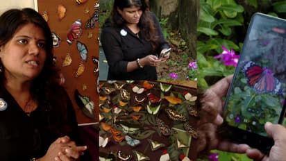 2023 ചിത്രശലഭങ്ങൾ, അപൂർവ നേട്ടവുമായി വിജിത; ഏറ്റവും കൂടുതൽ ചിത്രശലഭങ്ങളുടെ ചിത്രം വെട്ടിയെടുത്ത് റെക്കോർഡ്