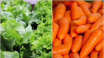 Lettuce to Baby Carrot: 7 vegetable that can grow in one month
