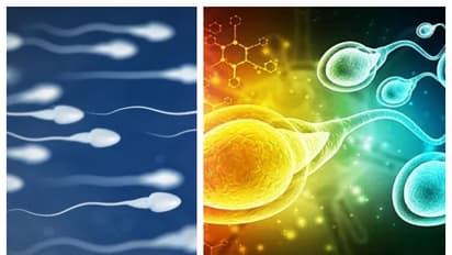 ವೀರ್ಯ ನಾಶ ಮಾಡಿಕೊಂಡ್ರೆ ಆಗೋದೇನು? ಶುಕ್ರ ಧಾತು ಬಗ್ಗೆ ಎಲ್ಲೂ ಸಿಗದ ಅತ್ಯಮೂಲ್ಯ ಮಾಹಿತಿ, ಪುರುಷರಿಗಾಗಿ..