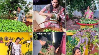 ಜಾಗ ಇಲ್ಲ ಅಂತ ಗಾರ್ಡನ್ ಆಸೆ ಕೈ ಬಿಟ್ಟವರಿಗೆ ಸ್ಫೂರ್ತಿ ಈಕೆ : ತಾರಸಿಯಲ್ಲಿ 500ಕ್ಕೂ ಹೆಚ್ಚು ಹಣ್ಣು, ತರಕಾರಿ ಲೋಕ