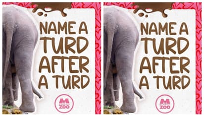 മുന് പ്രണയിനിക്ക് പ്രണയദിന സമ്മാനമായി 'ആന പിണ്ഡമിടുന്ന' വീഡിയോ അയച്ചുകൊടുക്കാം; അവസരം ഒരുക്കി യുഎസ് മൃഗശാല