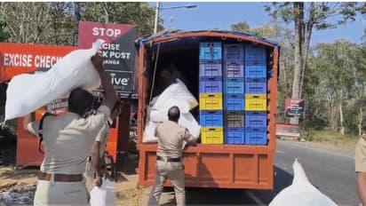പച്ചക്കറി വണ്ടിയിൽ കേരളത്തിലേക്ക് കടത്താൻ ശ്രമം, ഒന്നും രണ്ടുമല്ല, അര കോടി രൂപ വില മതിക്കുന്ന ഹാൻസ് പിടികൂടി
