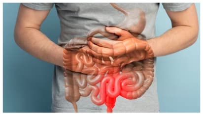 Health Tips : ഈ വിത്ത് കഴിച്ചോളൂ, മലബന്ധ പ്രശ്നം അകറ്റാൻ സഹായിക്കും