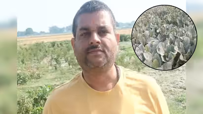 How Pradeep Kumar Dwivedi left corporate life to start a quinoa farming business