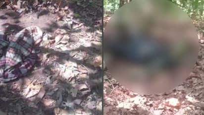 തിരുവനന്തപുരത്തും കാട്ടാന ആക്രമണം; പാലോട് 50 വയസുകാരൻ മരിച്ചത് കാട്ടാനയുടെ ആക്രമണത്തിലെന്ന് സ്ഥിരീകരണം