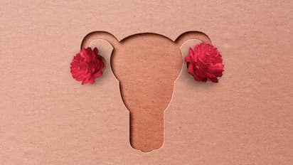 From Period to Ovulation: How hormones influence your immune health