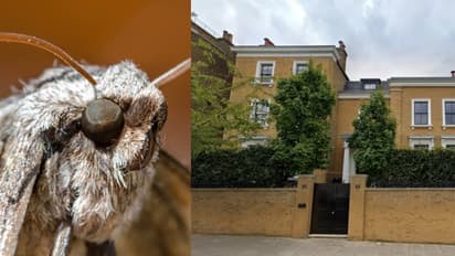 മോഹിപ്പിക്കുന്ന വാഗ്ദാനത്തിൽ വീണ് ബംഗ്ലാവ് വാങ്ങി, ജീവിക്കാൻ വിടാതെ നിശാശലഭങ്ങൾ, വിൽപ്പന മരവിപ്പിച്ച് കോടതി