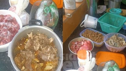 കാട്ടുപന്നിയെ വേട്ടയാടി ഇറച്ചിയാക്കി; അച്ഛനും മകനും പ്രതികൾ, ഫ്രിഡ്ജിൽ സൂക്ഷിച്ച 10 കിലോ ഇറച്ചിയും പിടികൂടി