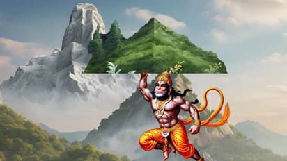 ಆಂಜನೇಯ ಹಿಮಾಲಯದಿಂದ  ಹೊತ್ತು ತಂದ ಮೃತಸಂಜೀವಿನಿ ಮೂಲಿಕೆ ಈಗಲೂ ಇದೆ!