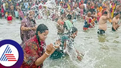 ಕುಂಭಮೇಳದಲ್ಲಿ ಡಿಜಿಟಲ್ ಸ್ನಾನದ ಬ್ಯುಸಿನೆಸ್ ಐಡಿಯಾ: ಹೀಗೂ ಹಣ ಮಾಡ್ಬಹುದು ಅಂತ ಹೇಳಿಕೊಟ್ಟ ವ್ಯಕ್ತಿ