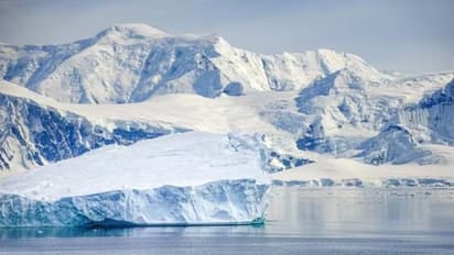 ലോകത്തിലെ ഏറ്റവും പഴയ ആധുനിക പക്ഷി, 68 ദശലക്ഷം വർഷം പഴക്കം, ഫോസിൽ കണ്ടെത്തി
