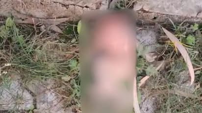 യുപിയിലെ ആശുപത്രിയിൽ മരിച്ച നവജാത ശിശുവിന്റെ മൃതദേഹം തെരുവ്നായ്ക്കൾ തിന്നു; ബന്ധുക്കൾ ഉപേക്ഷിച്ചതെന്ന് അധികൃതർ