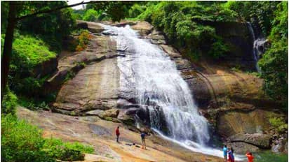 പശ്ചിമഘട്ട നിരകളുടെ മടിത്തട്ടിലെ വെള്ളച്ചാട്ടത്തിലേയ്ക്ക് ഒരു ട്രക്കിംഗ്; പോകാം തുഷാരഗിരിയിലേയ്ക്ക്