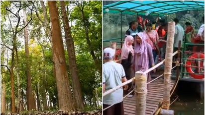 നിലമ്പൂരിലെ ഭീമൻ മുത്തശ്ശി തേക്കുകൾ കണ്ട് മടങ്ങാം; ചാലിയാർ പുഴ കടക്കാൻ ഇനി ജങ്കാറുണ്ട്