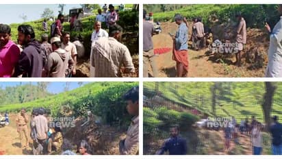 മനുഷ്യ-മൃഗ സംഘർഷം: വയനാടിന് 50 ലക്ഷം അനുവദിച്ച് ദുരന്തനിവാരണ വകുപ്പ്: ജില്ലാ കളക്ടർക്ക് പണം കൈമാറും