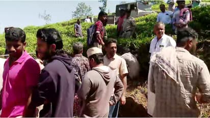 വന്യമൃഗങ്ങൾക്ക് വനത്തിൽ ജലവും ഭക്ഷണവും ഉറപ്പാക്കും; ആക്രമണത്തെ തടയാനായി കർമ്മപദ്ധതിയുമായി വീണ്ടും വനം വകുപ്പ്