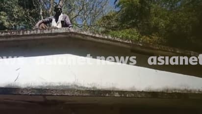 കാട്ടാന വാഴ നശിപ്പിച്ചു; വനം വകുപ്പ് ക്വാട്ടേഴ്സിന് മുകളിൽ കയറി കർഷകന്റെ ആത്മഹത്യ ഭീഷണി