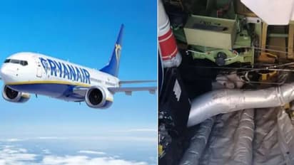 വിമാനത്തിനുള്ളില് പ്രതീക്ഷിക്കാത്ത അതിഥി, പഠിച്ചപണി പതിനെട്ടും നോക്കി, പിടികൂടാനായില്ല, യാത്ര വൈകിയത് 2 ദിവസം