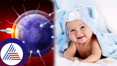 ನಿಮ್ಮ ಕನಸಿನ ಮಗು ಹುಟ್ಟಿಸುವ ಹೊಸ ಆವಿಷ್ಕಾರವಿದು! ಮಕ್ಕಳಿಲ್ಲದವರಿಗೂ ಭರವಸೆ- ಏನಿದು ಸಂಶೋಧನೆ? ಮಾಹಿತಿ ಇಲ್ಲಿದೆ...