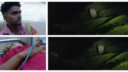 രാത്രി ബൈക്കിൽ വരുമ്പോൾ തൊട്ടുമുന്നിൽ പ്രകോപിതനായി പടയപ്പ; വാഹനം നിയന്ത്രണം വിട്ട് മറിഞ്ഞ് 2 പേർക്ക് പരിക്ക്