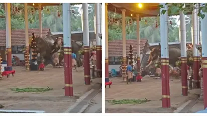 കൊയിലാണ്ടി മണക്കുളങ്ങര ഉത്സവത്തിനിടെ ആനയിടഞ്ഞു; 2 മരണം, നിരവധി പേര്‍ക്ക് പരിക്കേറ്റു