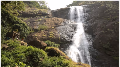 ഇത് കൊല്ലംകാരുടെ സുന്ദരി; പാൽ പോലെയൊഴുകും പാലരുവി
