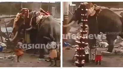 മണക്കുളങ്ങര ആനകളിടഞ്ഞ സംഭവത്തിൽ മരണം മൂന്നായി: 7 പേർ ഗുരുതരാവസ്ഥയിൽ, 22 പേർക്ക് പരിക്ക്