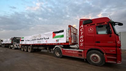 UAE sends 2,400 tonnes of humanitarian aid to Gaza