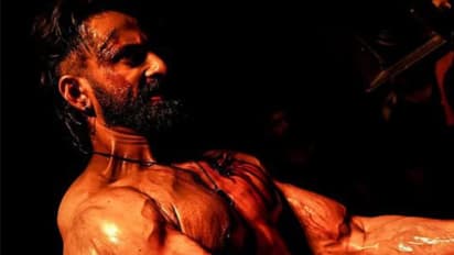 നേടിയത് 116 കോടി, മാര്ക്കോ ഒടിടിയില് എങ്ങനെ?, മറുഭാഷ പ്രേക്ഷകരുടെ പ്രതികരണങ്ങള്