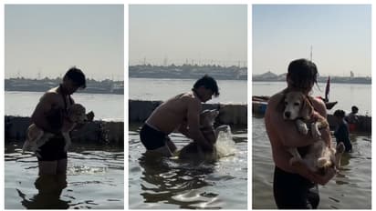 വളര്ത്തുനായയുമായി മഹാകുംഭമേളയ്ക്ക്; 'അവന് നമ്മുക്ക് മുന്നേ മോഷം നേടി'യെന്ന് സോഷ്യല് മീഡിയ, വീഡിയോ വൈറല്