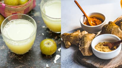 Health Tips: നെല്ലിക്കാ ജ്യൂസില് മഞ്ഞളും ഇഞ്ചിയും ചേര്ത്ത് കുടിക്കൂ, അറിയാം ഗുണങ്ങള്