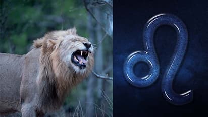 10 Traits of Leo: Here's how you should deal with challenging traits of Leo