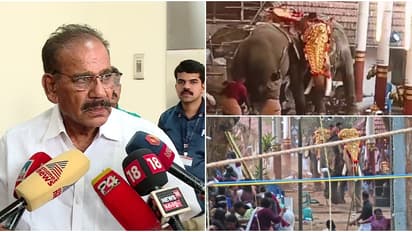 കൊയിലാണ്ടിയിൽ ആന ഇടഞ്ഞ സംഭവം; അപകടത്തിൽ നിയമ നടപടിയുമായി മുന്നോട്ടെന്ന് വനംമന്ത്രി