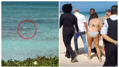 കടലില്‍ വച്ച് സ്രാവിനൊപ്പം ഫോട്ടോയ്ക്ക് ശ്രമം; യുവതിയുടെ ഇരുകൈകളും കടിച്ചെടുത്ത് സ്രാവ് 