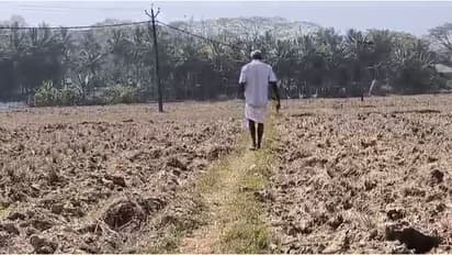 മുപ്പതാണ്ട് പച്ചപ്പണിഞ്ഞ വയലിൽ നിന്ന് അവർ മടങ്ങി, വന്യമൃഗങ്ങൾക്കായി കൃഷിയിറക്കാനില്ലെന്ന് മുത്തങ്ങയിലെ കർഷകർ