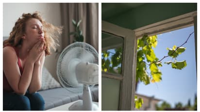 ಬಿರು ಬೇಸಿಗೆಯಲ್ಲಿ ಎಸಿ ಇಲ್ಲದೆಯೂ ಮನೆಯನ್ನು ತಂಪಾಗಿಡುವುದು ಹೇಗೆ: ಇಲ್ಲಿದೆ ಸೂಪರ್ ಟಿಪ್ಸ್!